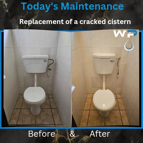 service image