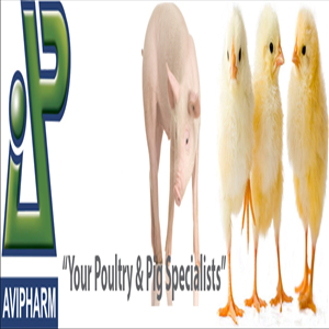 store-galley-image