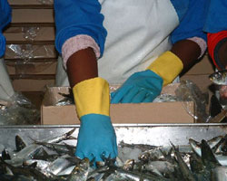 store-galley-image