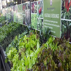 store-galley-image