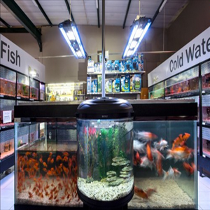 store-galley-image