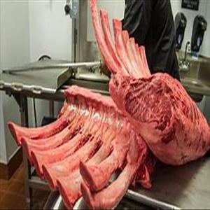 store-galley-image