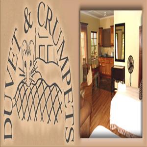 store-galley-image