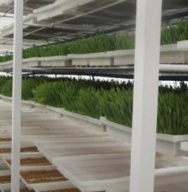 store-galley-image