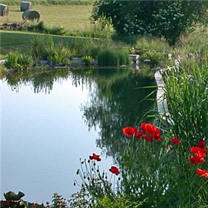 store-galley-image