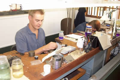 store-galley-image