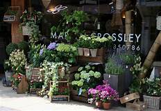store-galley-image