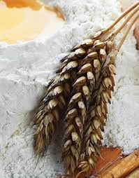 store-galley-image