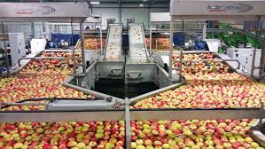 store-galley-image