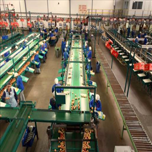 store-galley-image