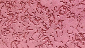 service image