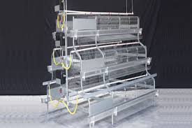 store-galley-image