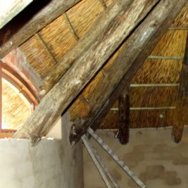 store-galley-image