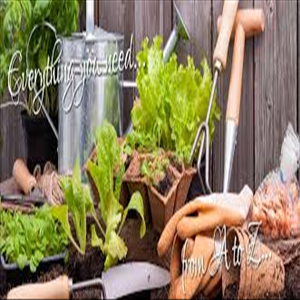 store-galley-image