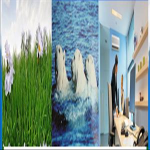 store-galley-image