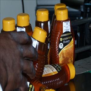 store-galley-image