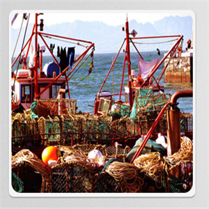 store-galley-image