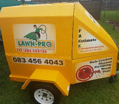 service image