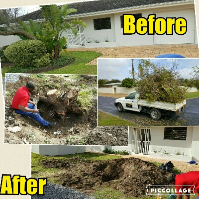 service image