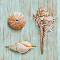 store-galley-image