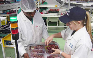 store-galley-image