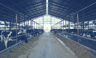 store-galley-image