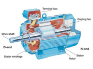 store-galley-image