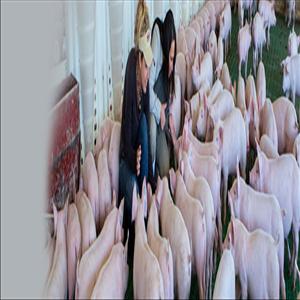 store-galley-image