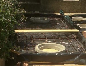 store-galley-image