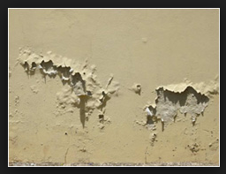 store-galley-image