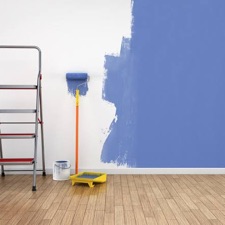 Professional Painters logo