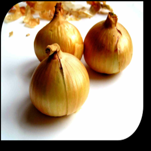 store-galley-image