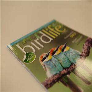 store-galley-image