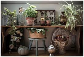 store-galley-image