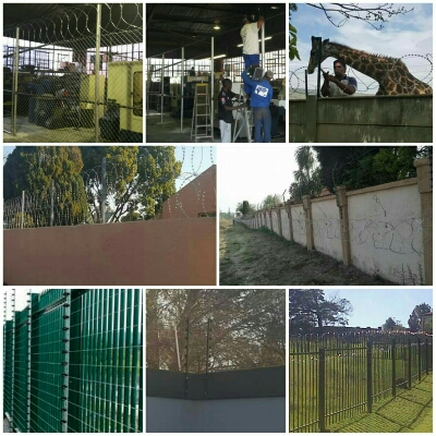 service image