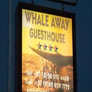 store-galley-image