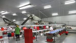 store-galley-image