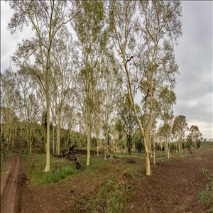 store-galley-image